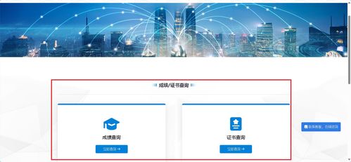 信息技術(shù)咨詢 1+x成績查詢及職業(yè)技能等級(jí)證書下載超詳細(xì)指南